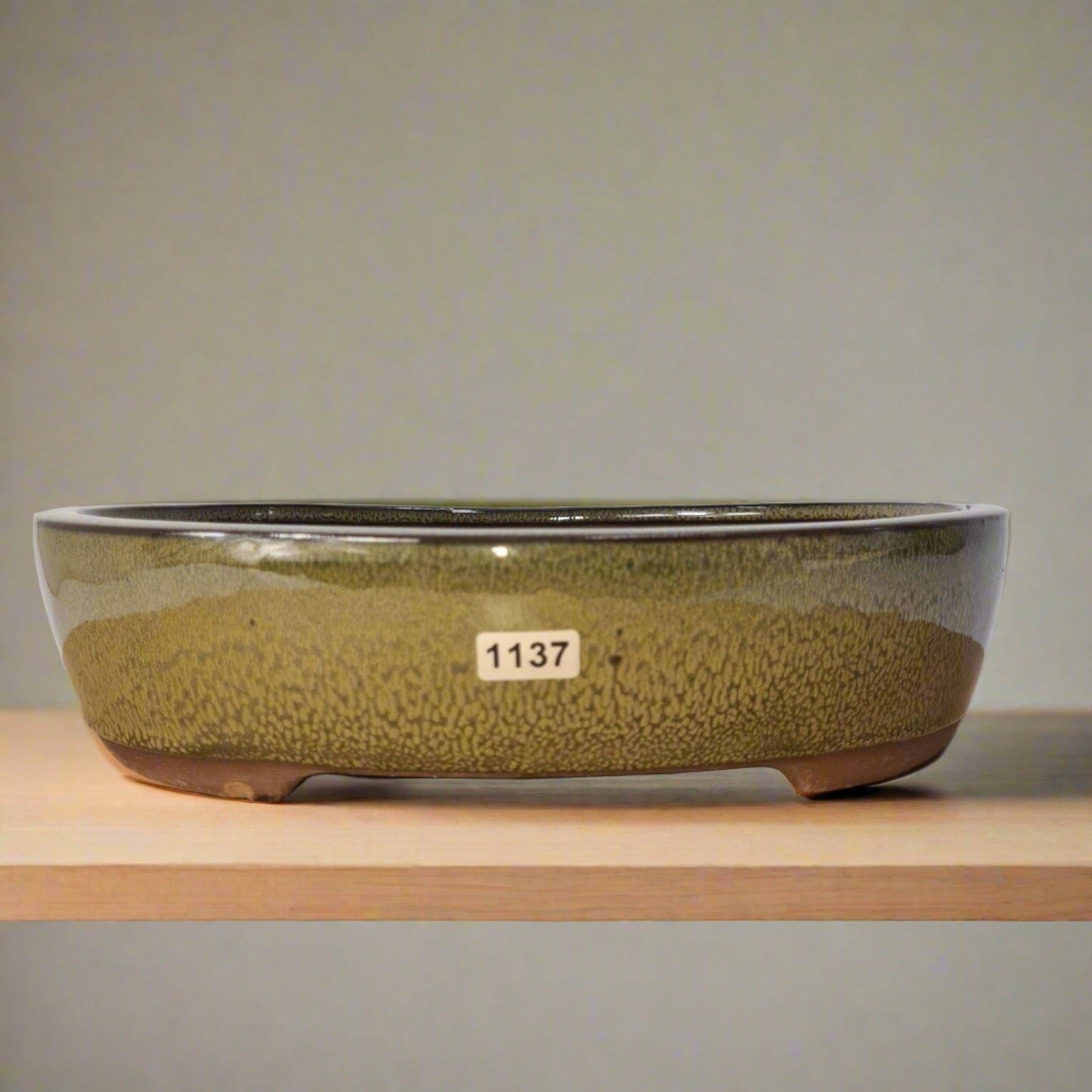 26cm Glazed Bonsai Pot | Oval | 26cm x 22cm x 6cm | Green