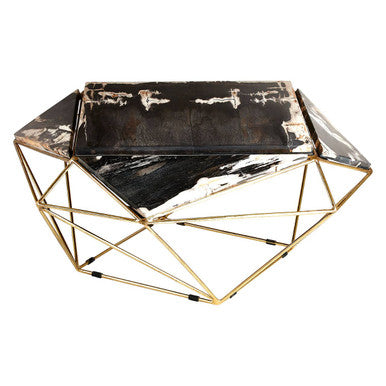 Relic Dark Petrified Wood Coffee Table
