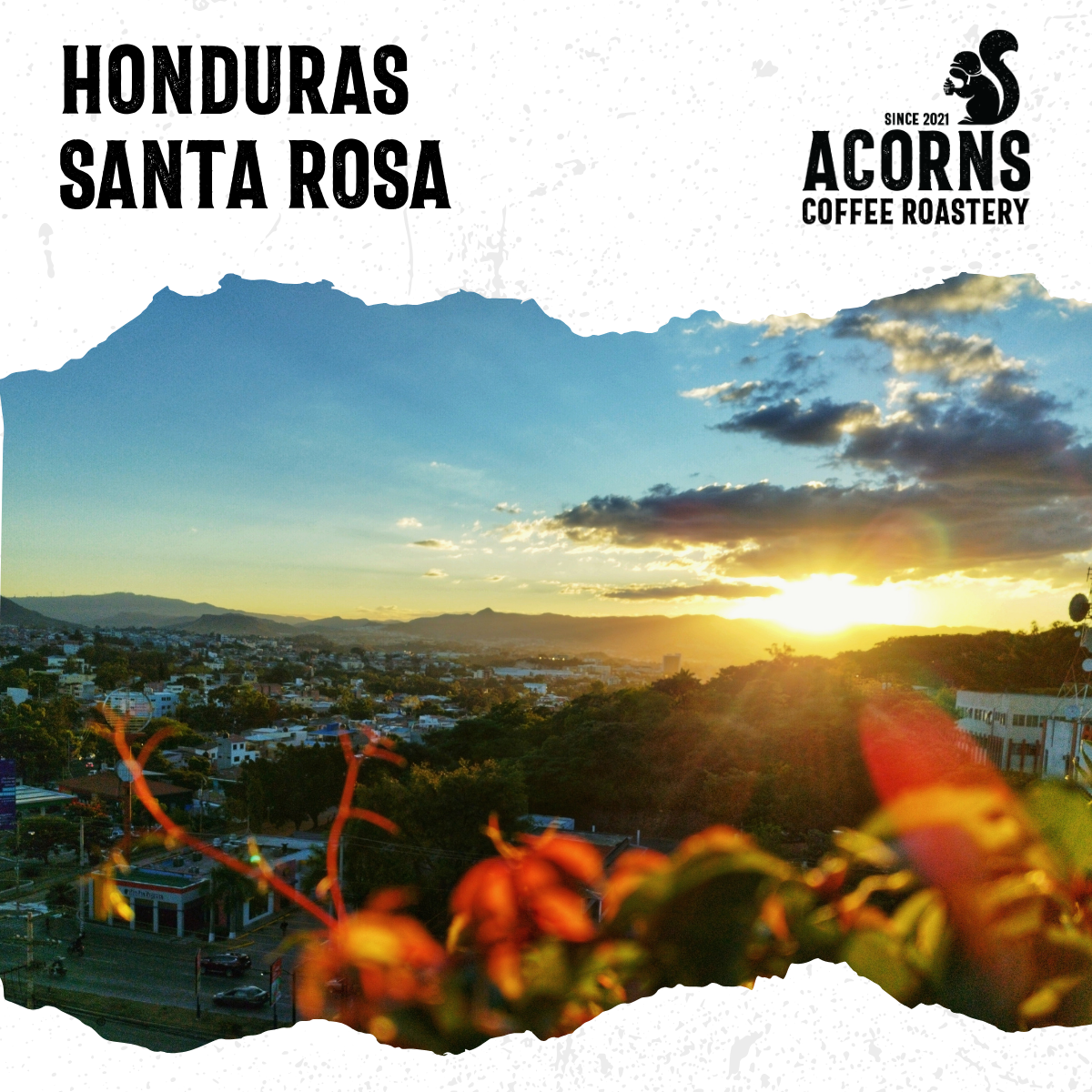 Honduras Santa Rosa Medium Roast