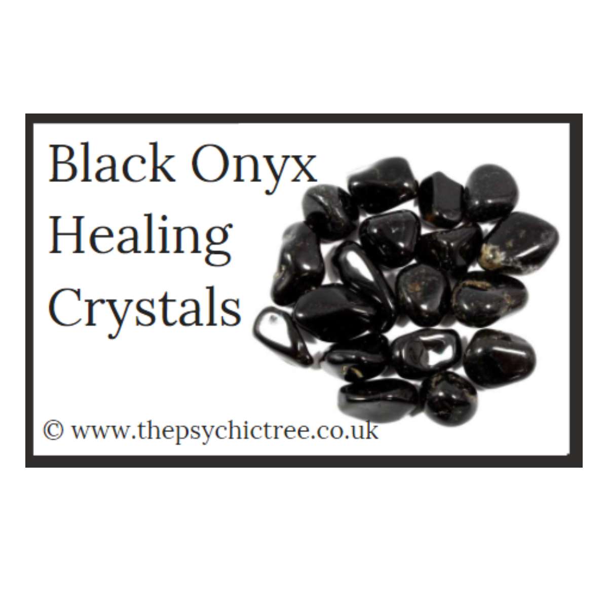 Black Oynx Guide Book