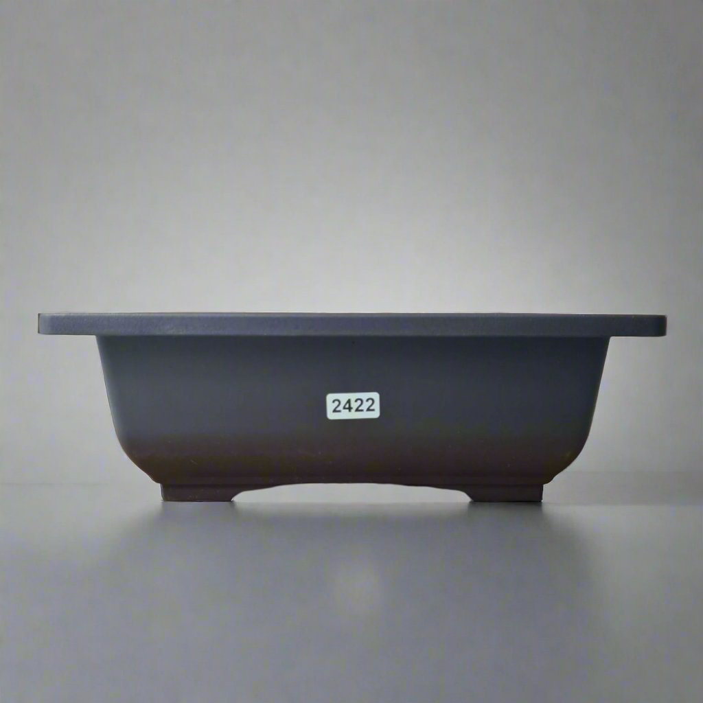 Plastic Bonsai Training Pot | Rectangle | 23cm x 17cm x 8cm