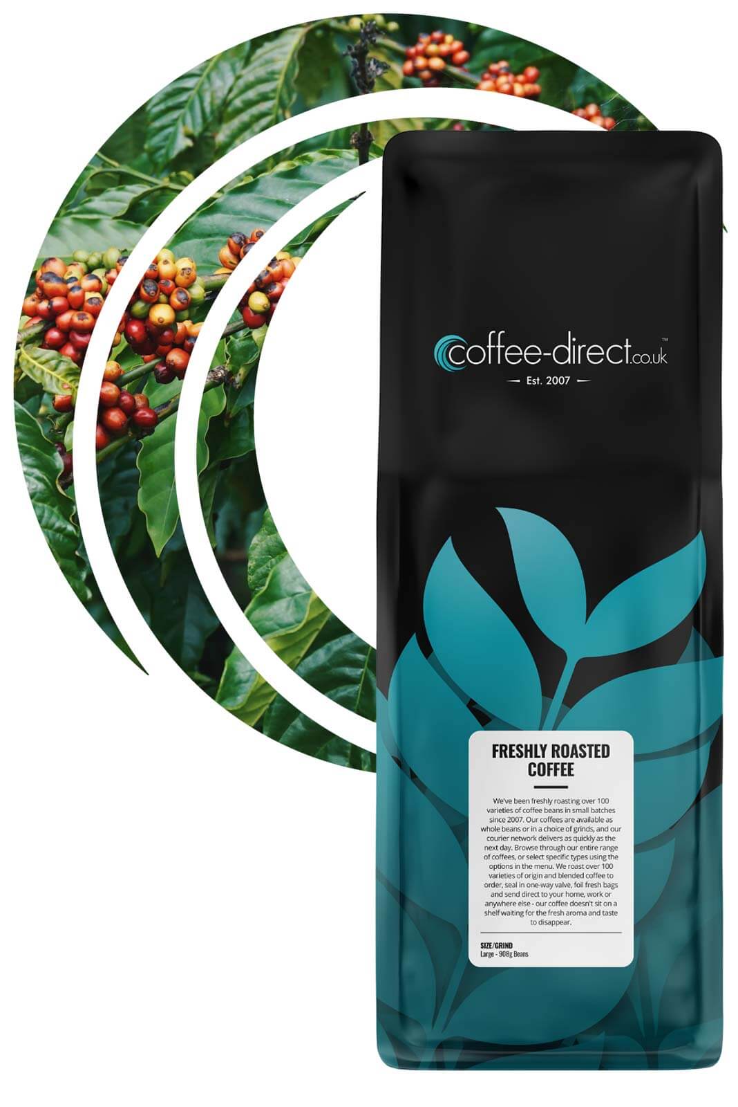 Buy Kopi Luwak Sumatra Coffee Online - Fast Nationwide Delivery