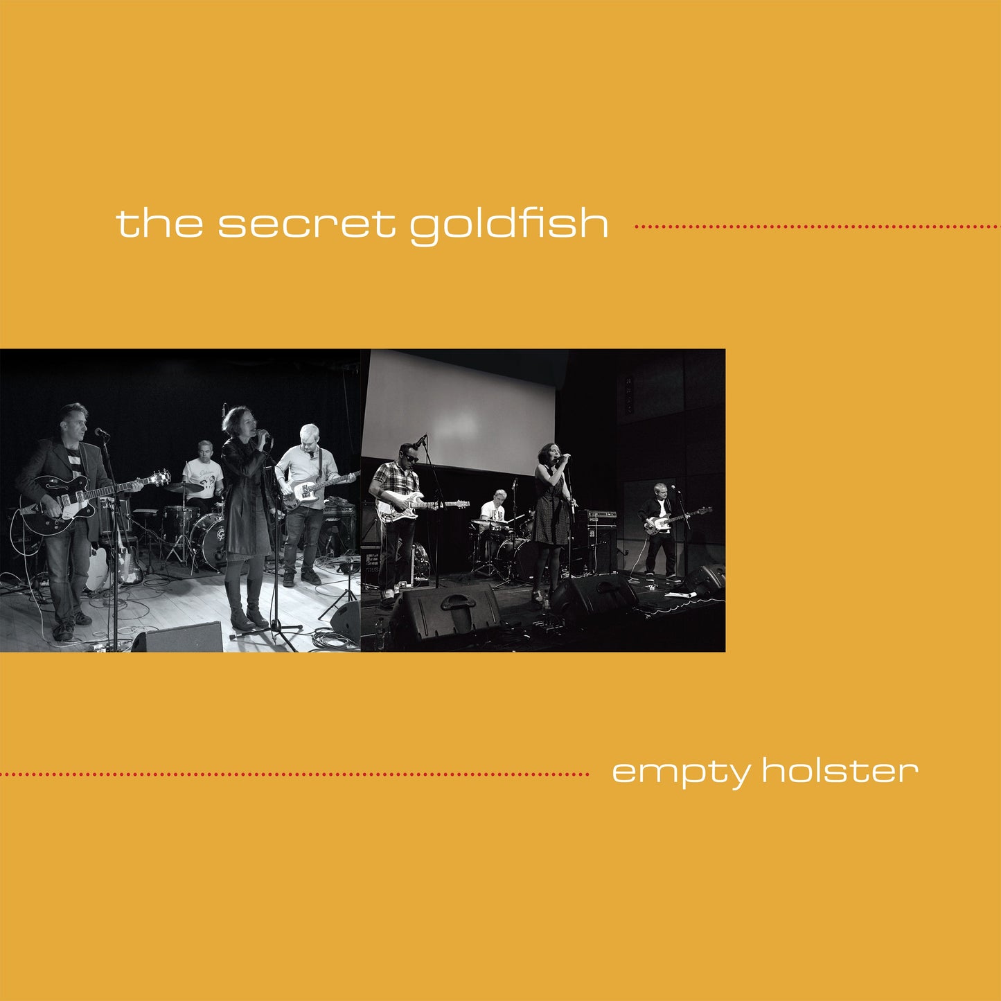 The Secret Goldfish - Empty Holster Vinyl LP / DL