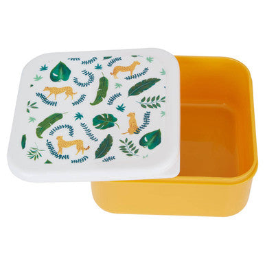 Mimo Set Of 4 Winter Palm Lunch Boxes