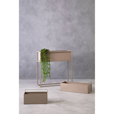 Asher Grey Box Large Wall Plant