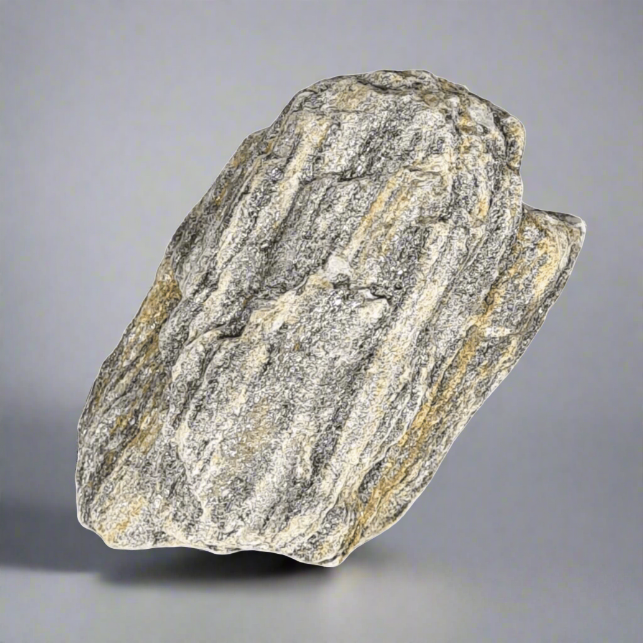 1 x Decorative Rock for Bonsai Tree Landscapes | Maple Bark | 5-10cm
