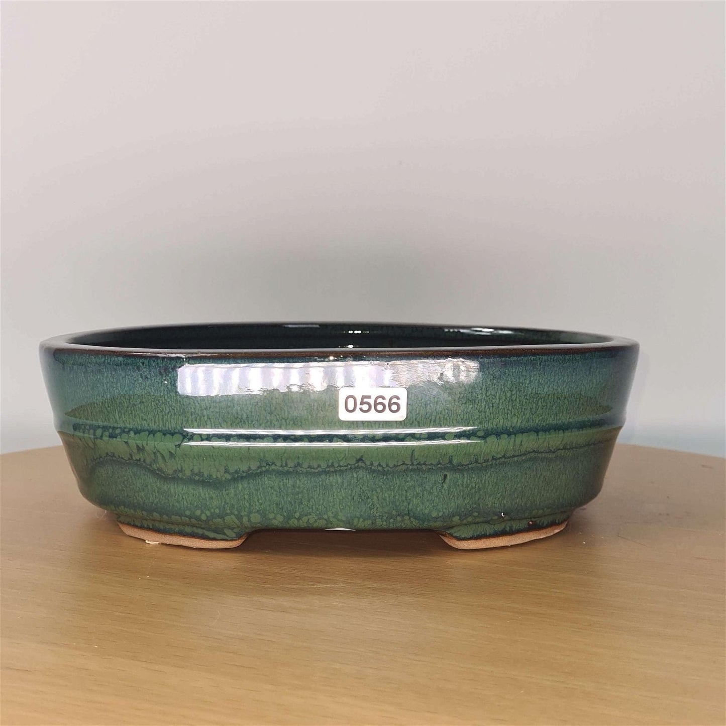 22cm Glazed Bonsai Pot | Oval | 22cm x 16cm x 7cm | Green