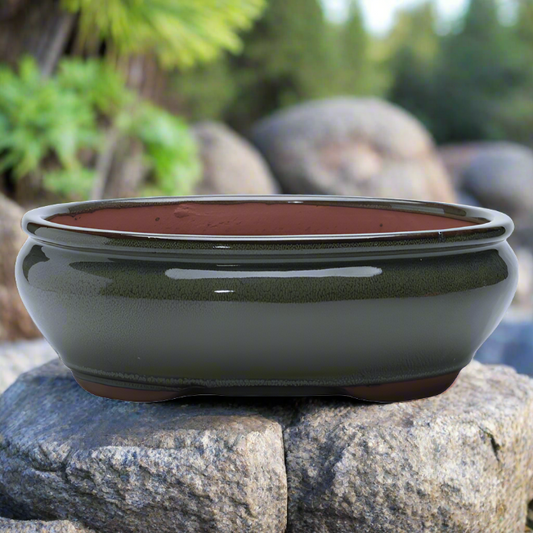 26cm Glazed Bonsai Pot | Oval | 26cm x 20cm x 6cm | Green