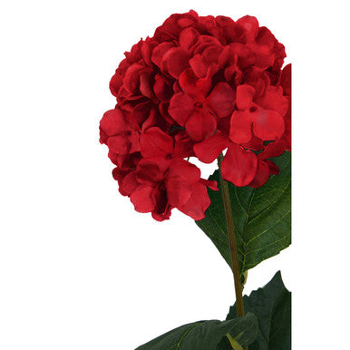 Fiori 74cm Hydrangea Red Stem