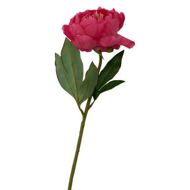 Fiori 65cm Peony Fuchsia Stem