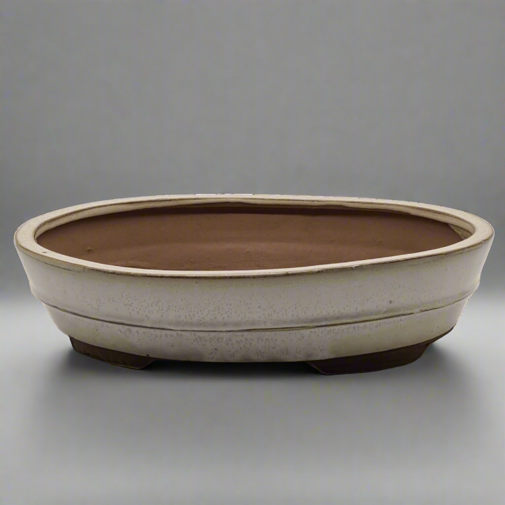 31cm Glazed Bonsai Pot | Oval | 31cm x 24cm x 7cm | White