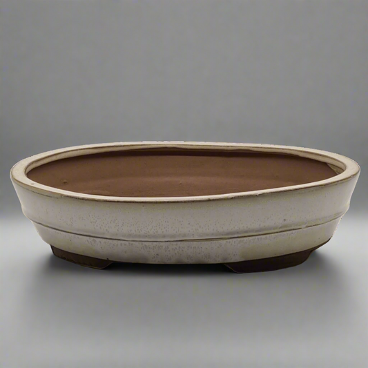 31cm Glazed Bonsai Pot | Oval | 31cm x 24cm x 7cm | White
