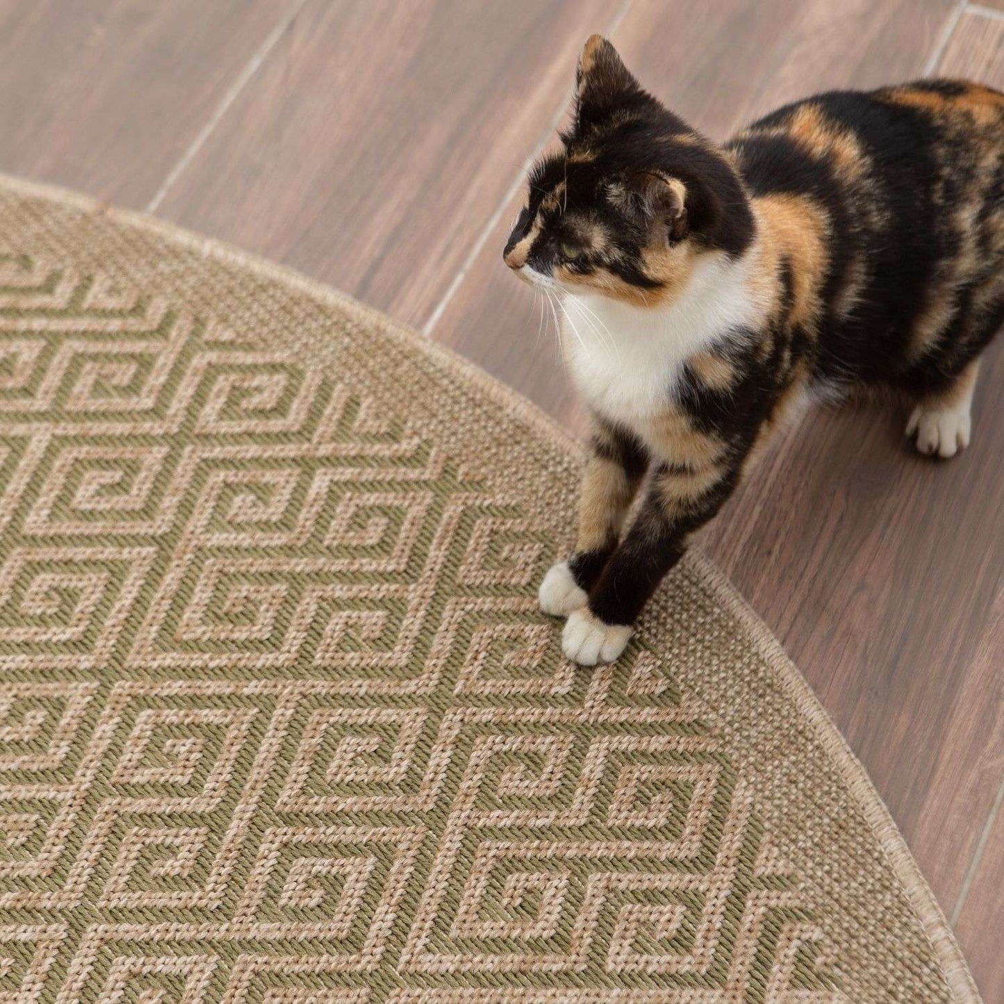 Nature Outdoor Rug Green | 5100G