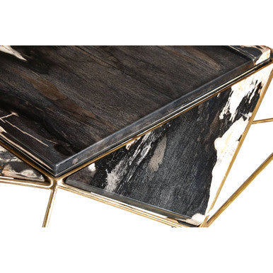 Relic Dark Petrified Wood Coffee Table