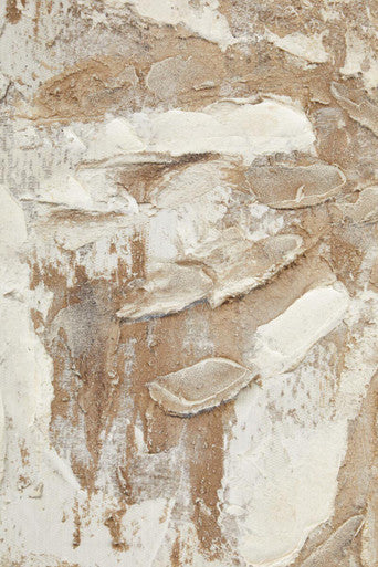 Astratto Set Of 2 Neutral Hued Textured Wall Art