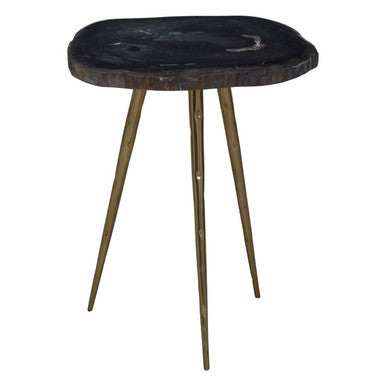 Relic Side Table With Petrified Wood Top and Brass Finish Legs