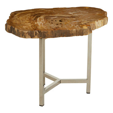 Relic Small Petrified Wood Side Table