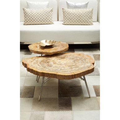 Relic Medium Petrified Wood Side Table