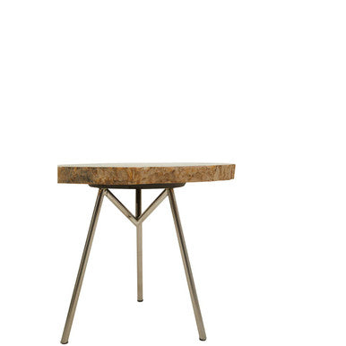 Relic Medium Petrified Wood Side Table