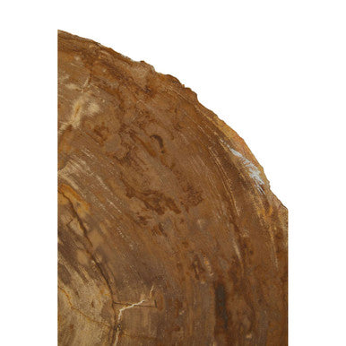 Relic Medium Petrified Wood Side Table