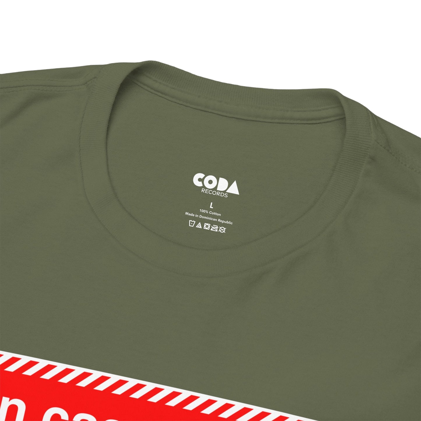 'In Case of Fire, Save My Vinyl' T-Shirt