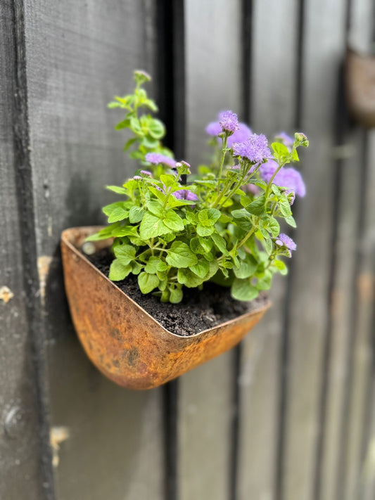 Vintage Rusty Metal Wall Mounted Planter / Herb Planter / Plant Pot Fence Decor