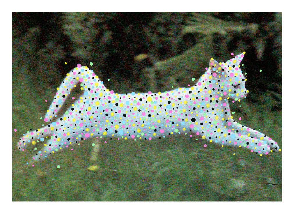 2017 Individual Postcards