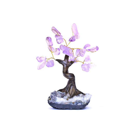 Amethyst Bonsai Tree