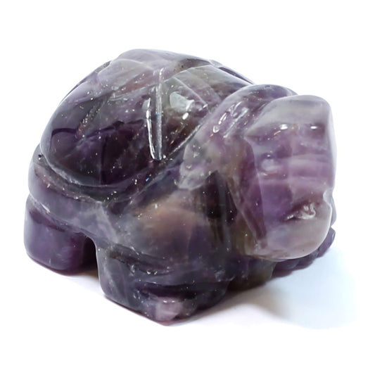 Amethyst Spirit Animal - The Tortoise