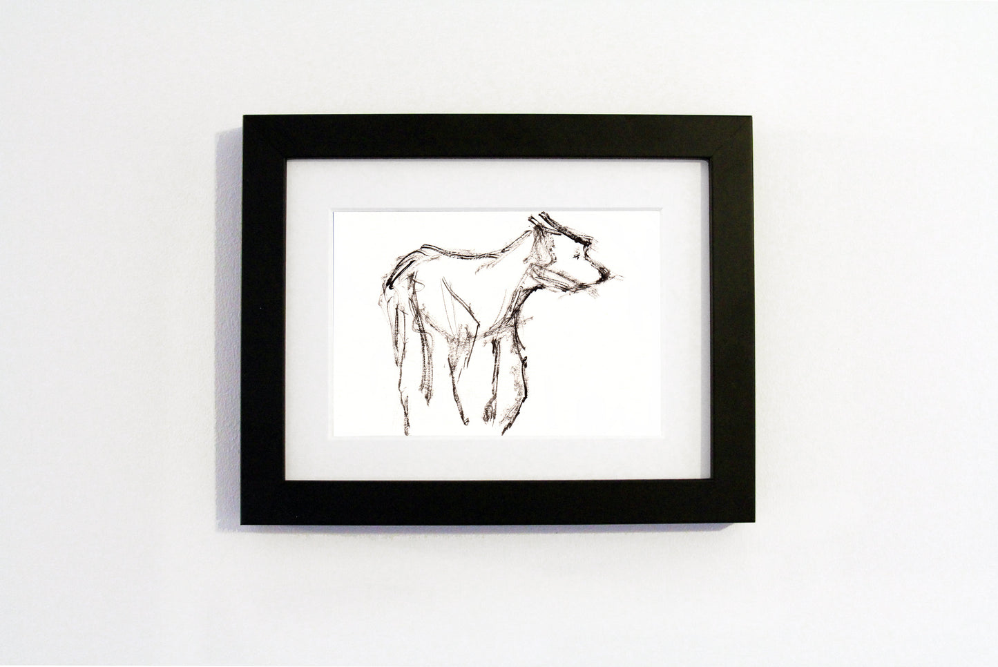 Rachel Howard - Black Dog