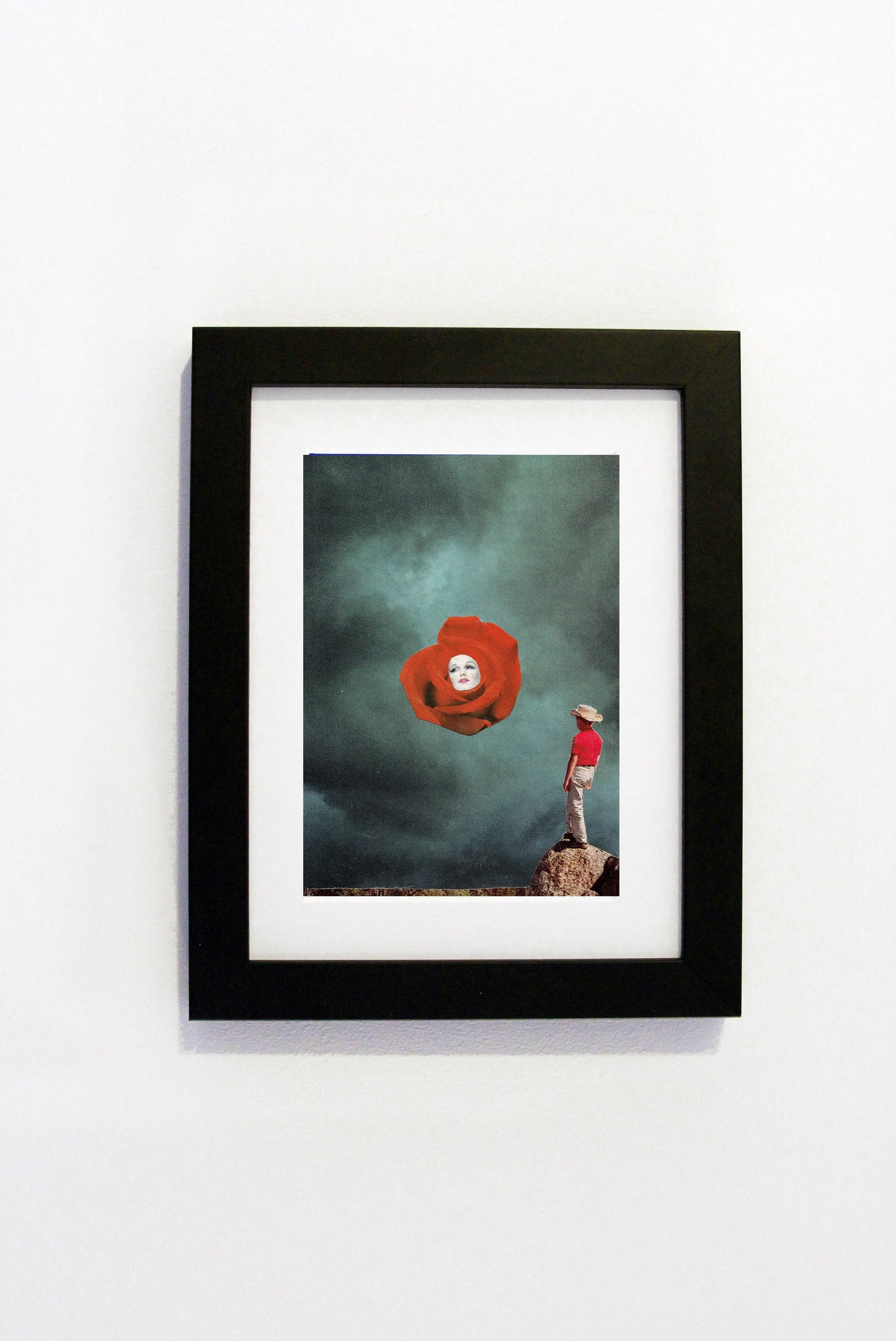 Steven Quinn - Desert Rose