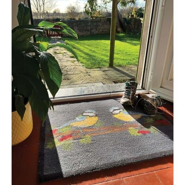Eco-Friendly Washable Home and Animal Mat – 65X85 cm