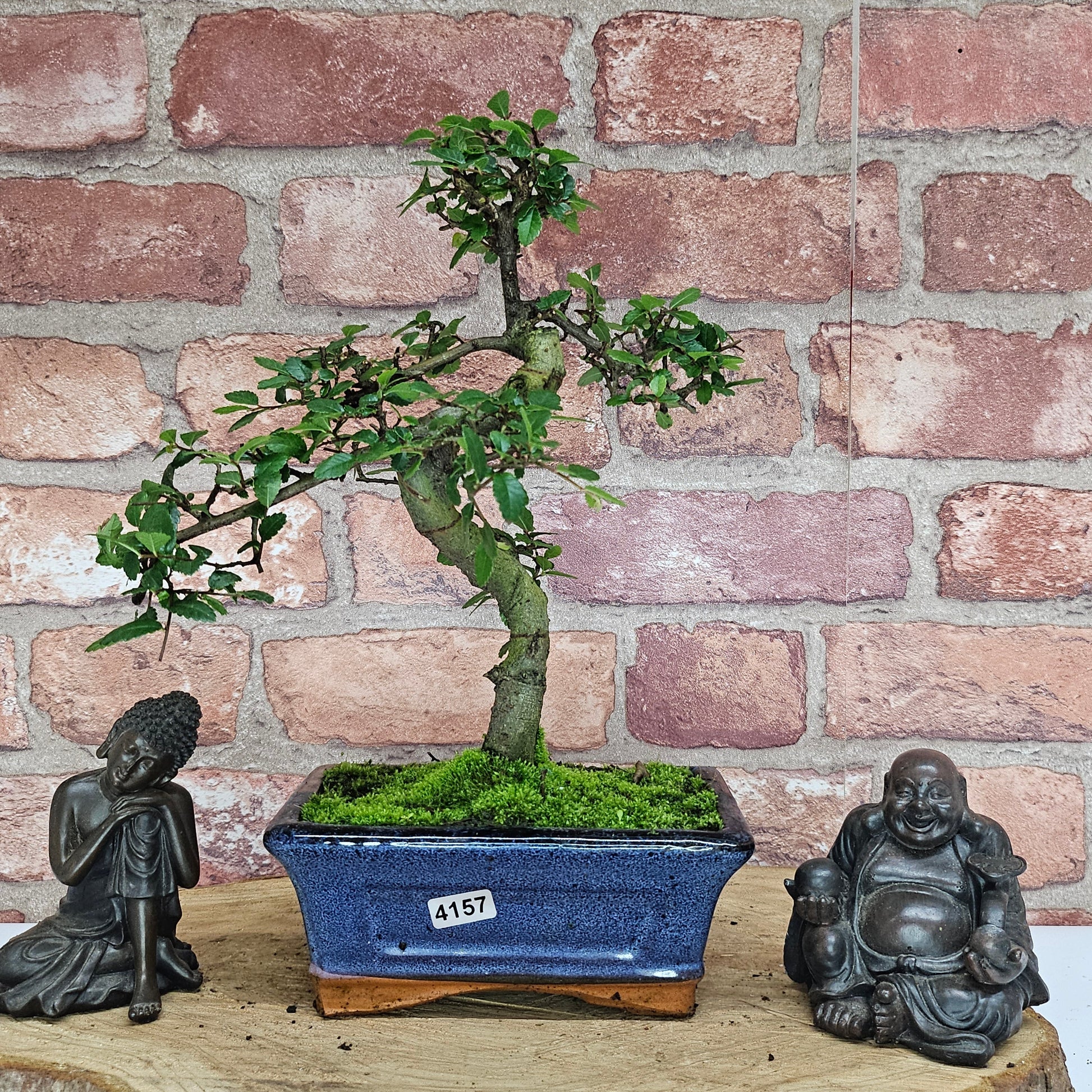 Bonsai tree in a blue pot with two statues on a wooden surface against a brick wall.