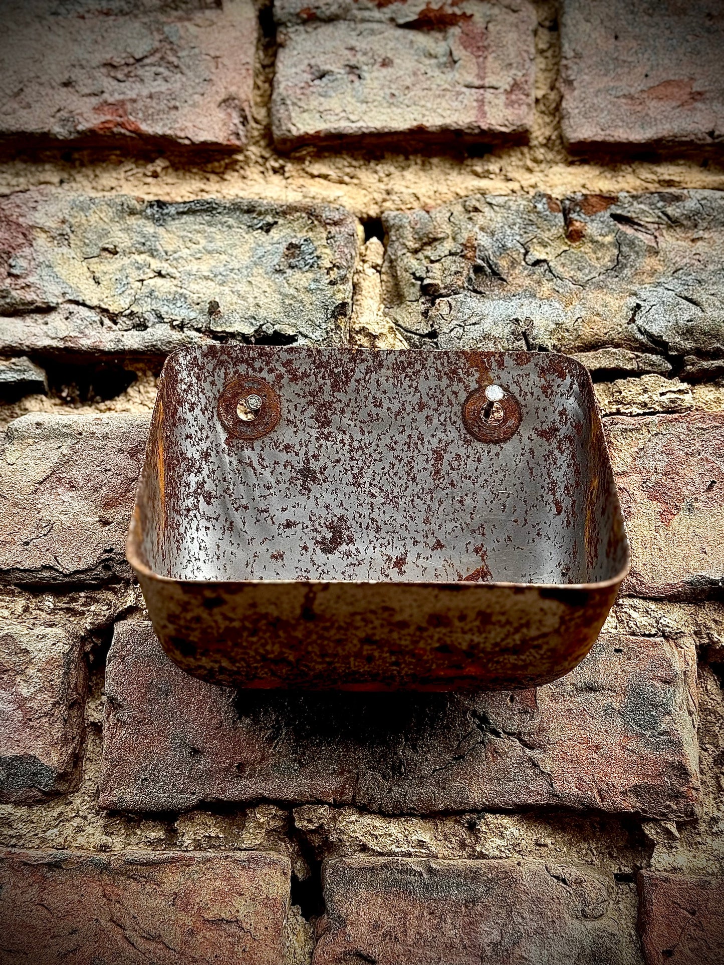 Vintage Rusty Metal Wall Mounted Planter / Herb Planter / Plant Pot / Key Holder