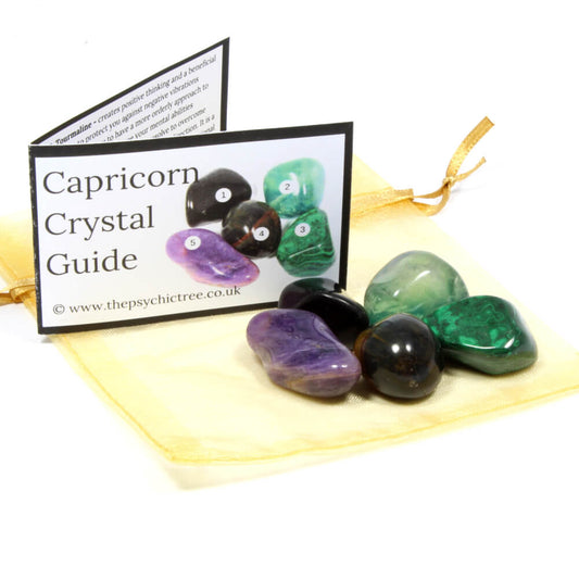 Capricorn - Sign Of The Zodiac Healing Crystal Pack