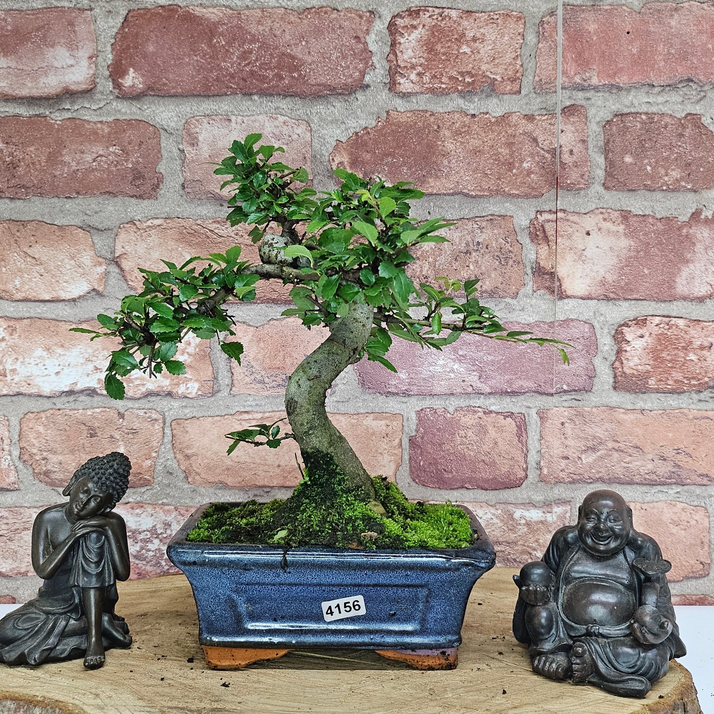 Bonsai tree in a pot with two statues on a wooden surface against a brick wall.