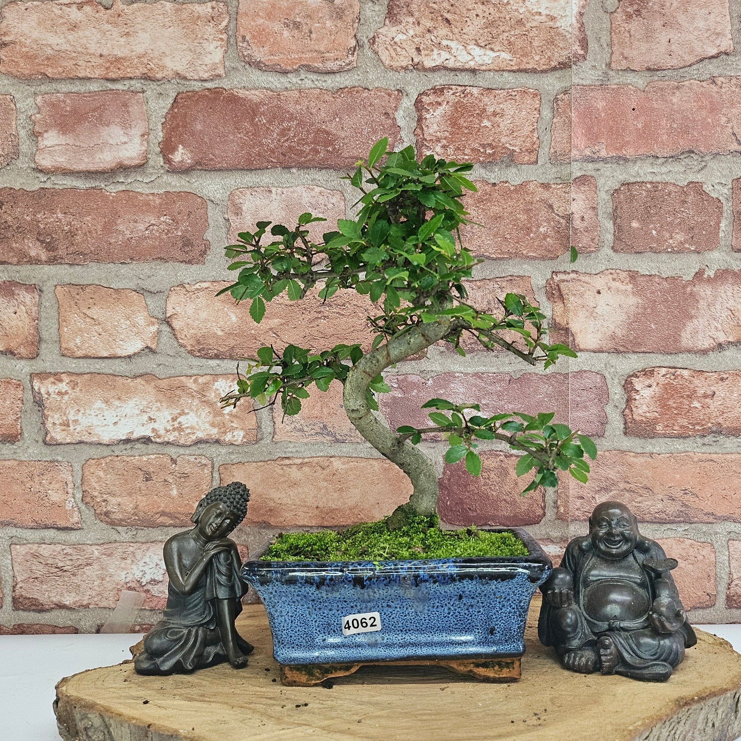 Bonsai tree in a blue pot with two Buddha statues on a wooden stand against a brick wall.