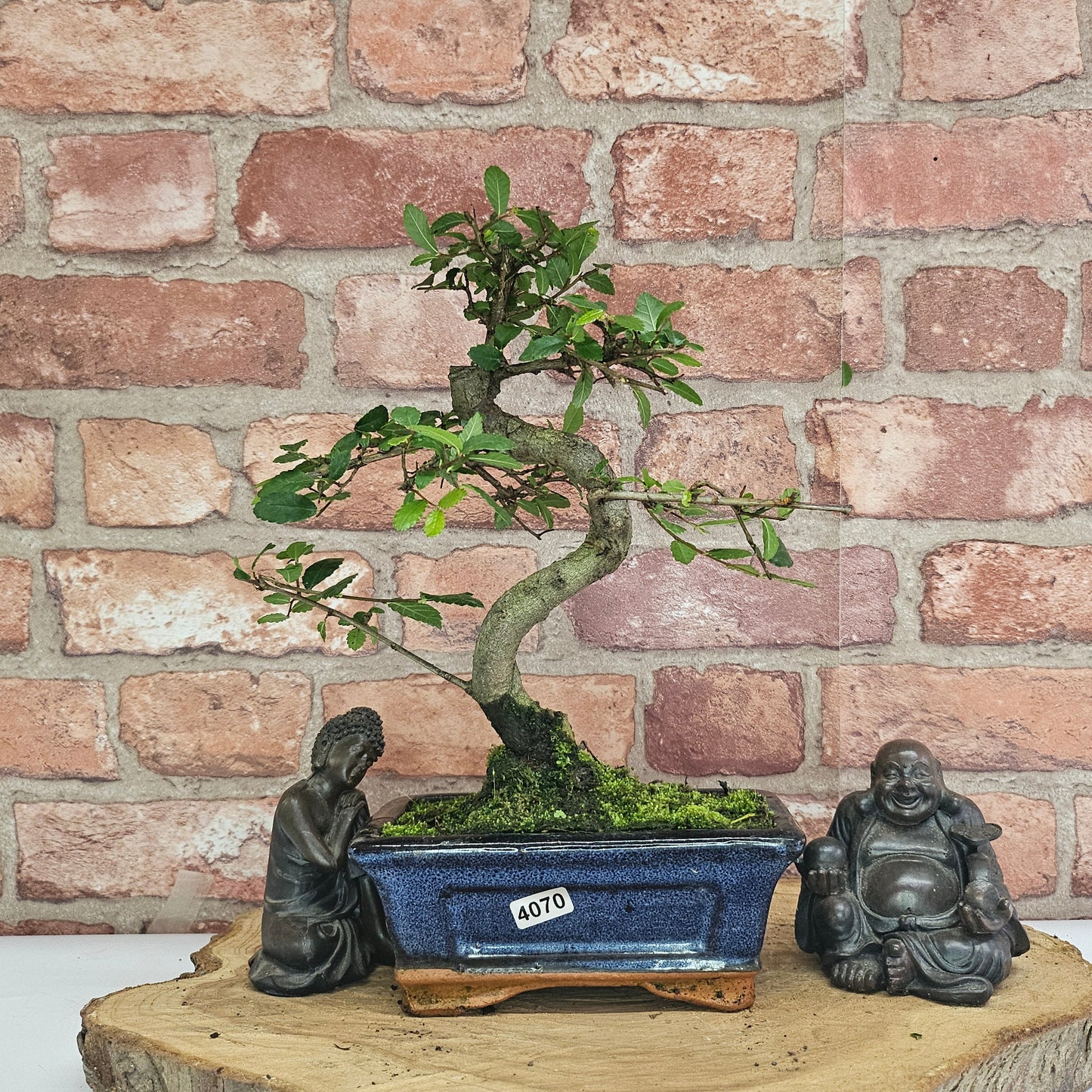 Bonsai tree in a blue pot with two statues on a wooden stand against a brick wall.
