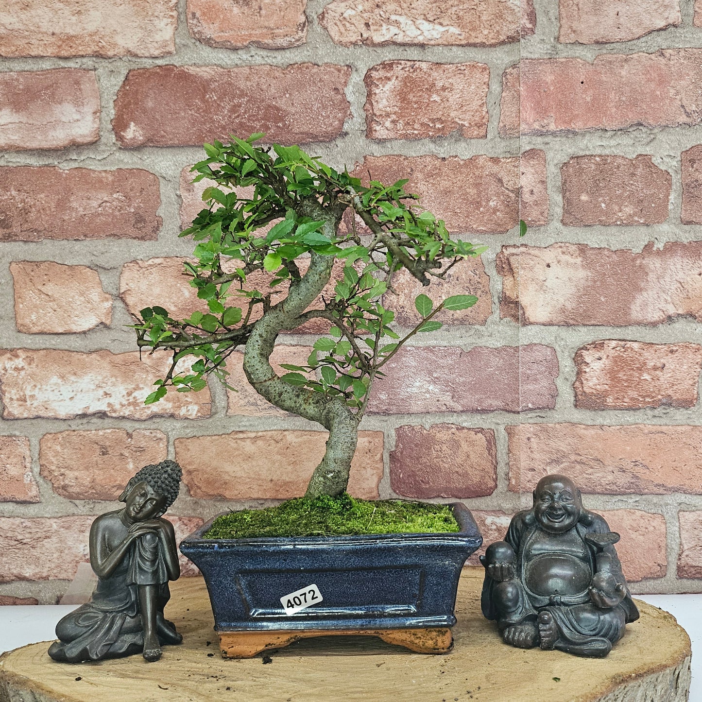 Bonsai tree in a pot with two statues on a wooden surface against a brick wall.