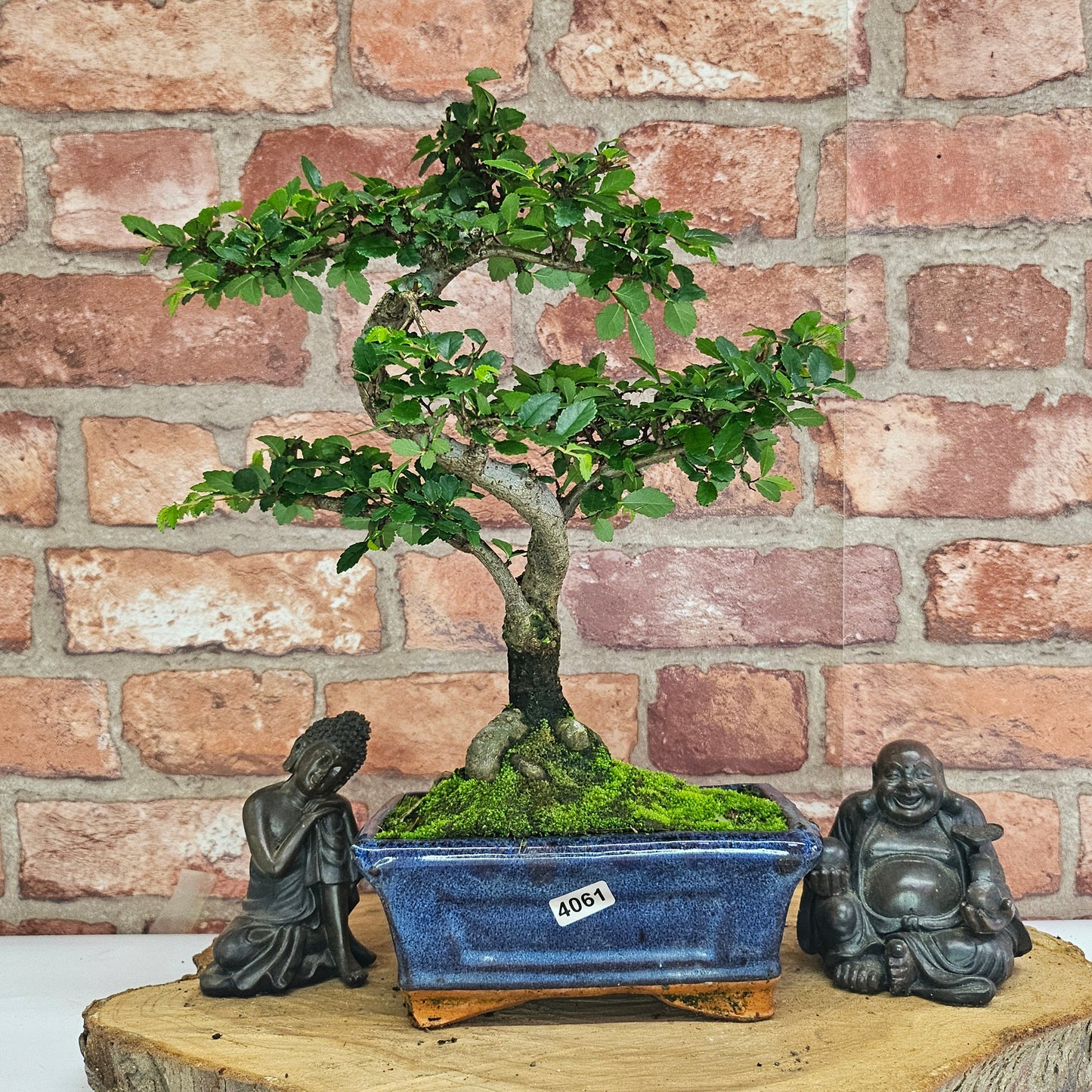 Bonsai tree in a pot with two statues on a wooden platform against a brick wall.