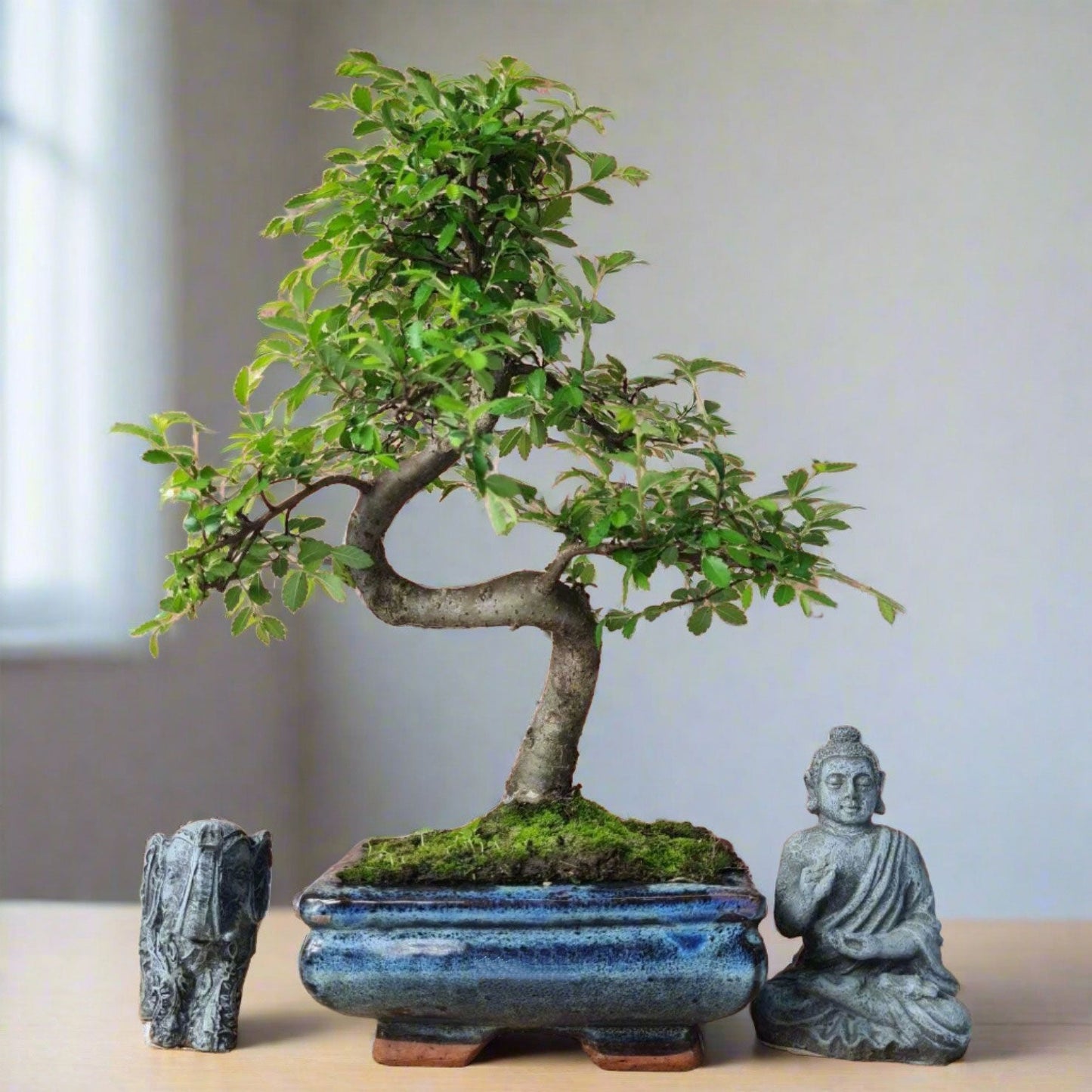 Bonsai tree in a pot with two stone sculptures on a neutral background
