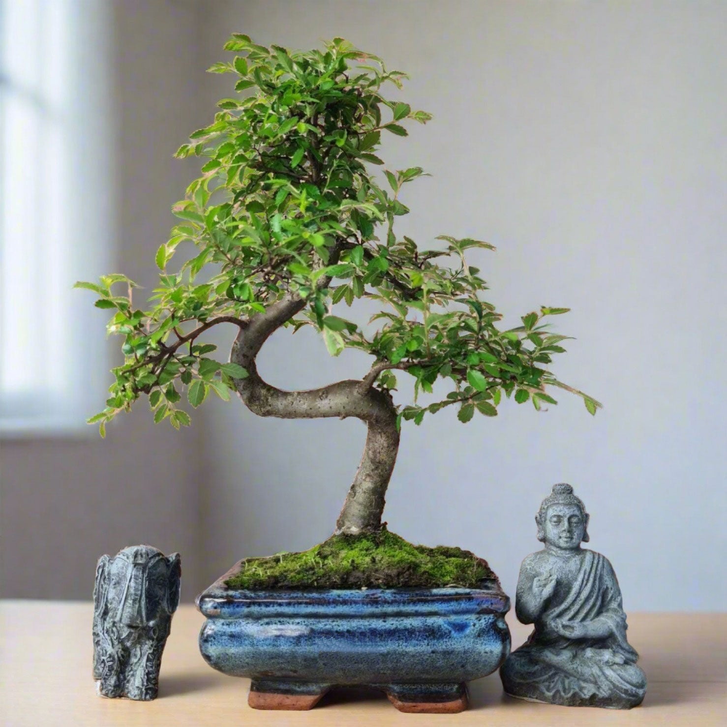 Bonsai tree in a pot with two stone sculptures on a neutral background