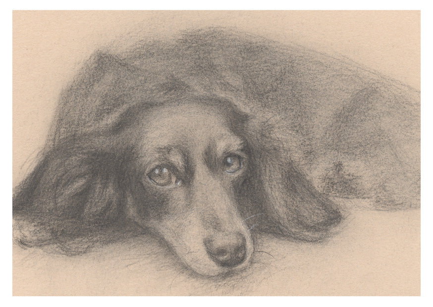 2024 Individual Postcards