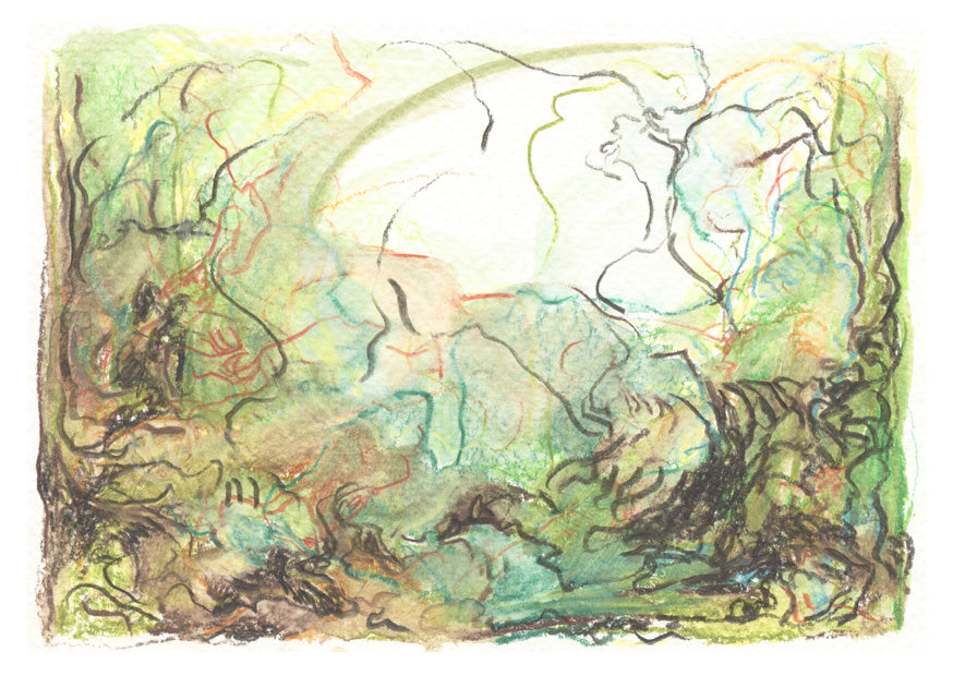 2024 Individual Postcards