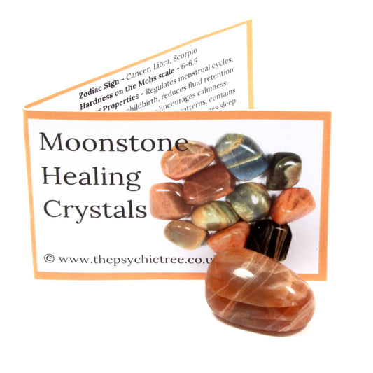 Moonstone Polished Crystal & Guide Pack