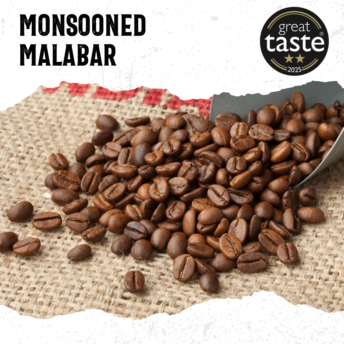 Monsooned Malabar Medium Roast