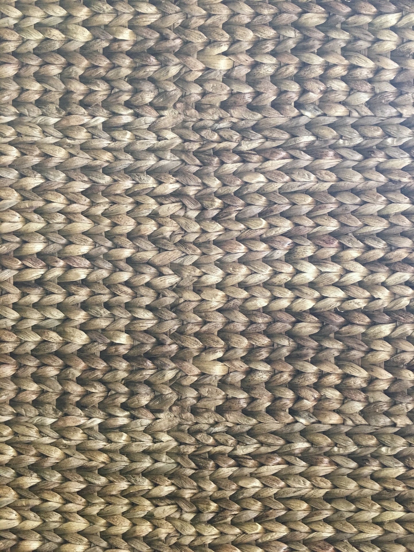 Water Hyacinth Horizontal Wallpaper