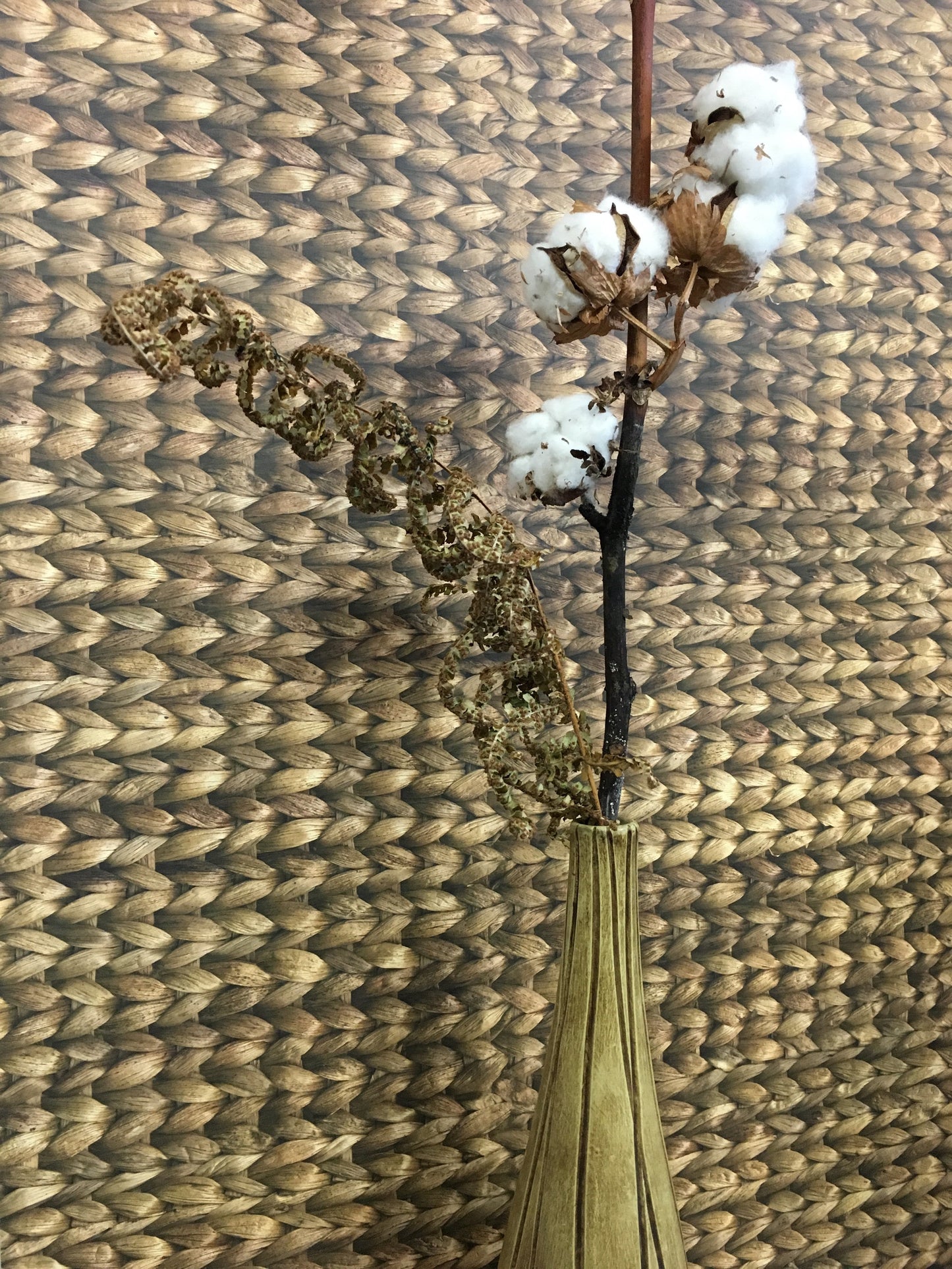 Water Hyacinth Horizontal Wallpaper