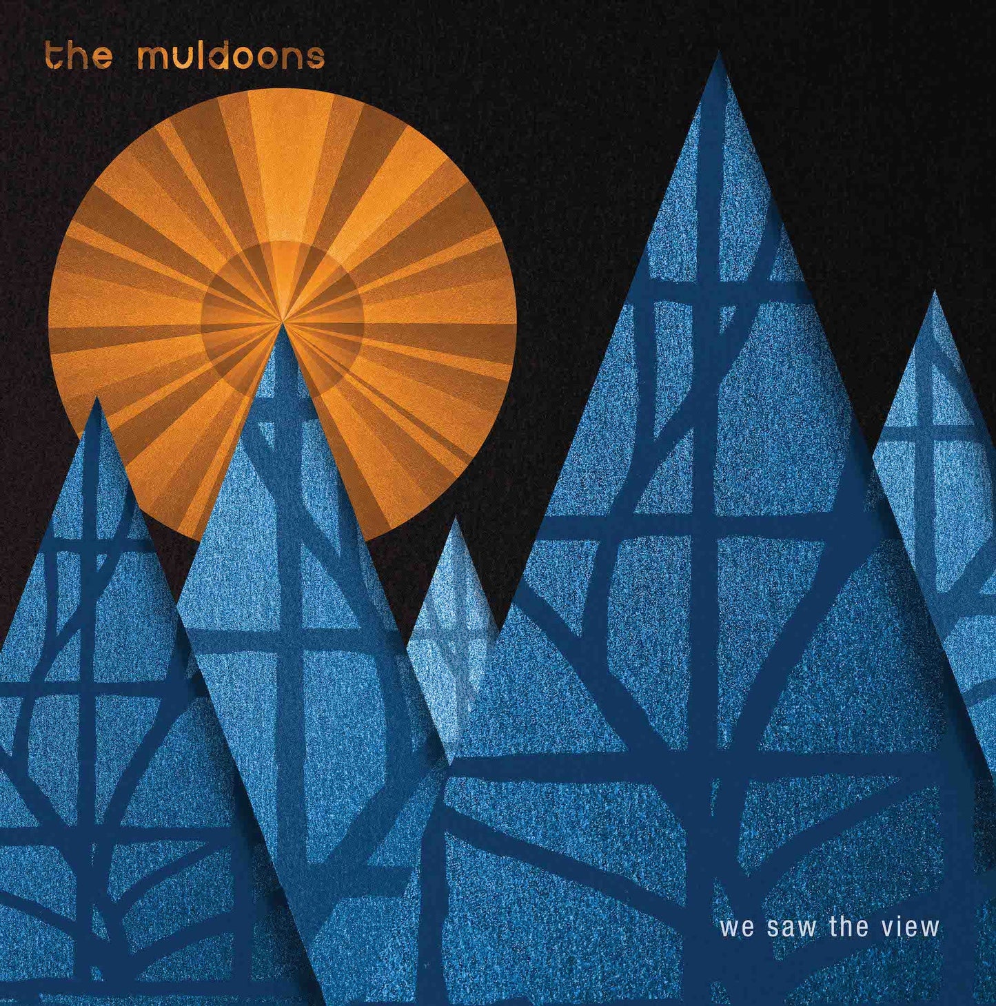 The Muldoons - We Saw The View - Vinyl LP / CD & DL