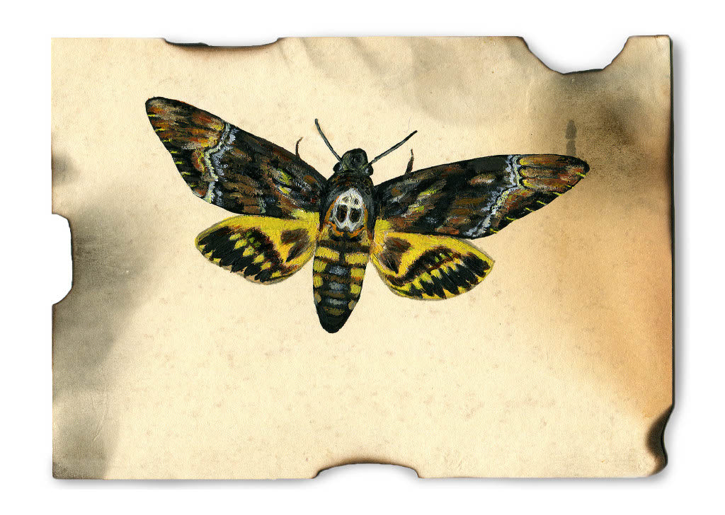 2017 Individual Postcards